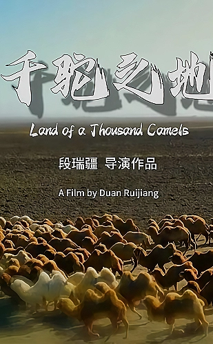 灵武大陆影视资料海报